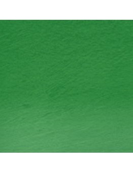 PROCOLOUR SAP GREEN 